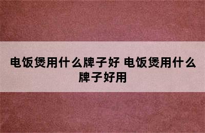 电饭煲用什么牌子好 电饭煲用什么牌子好用